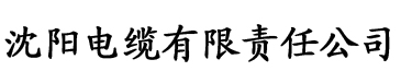 香蕉视频在线你懂的电缆厂logo